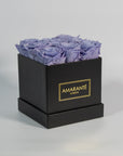 Blooming lavender roses in a captivating black