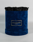 Gorgeous black Roses imbedded in a stylish blue box