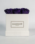 Eye catching dark purple roses implying wisdom and creativity