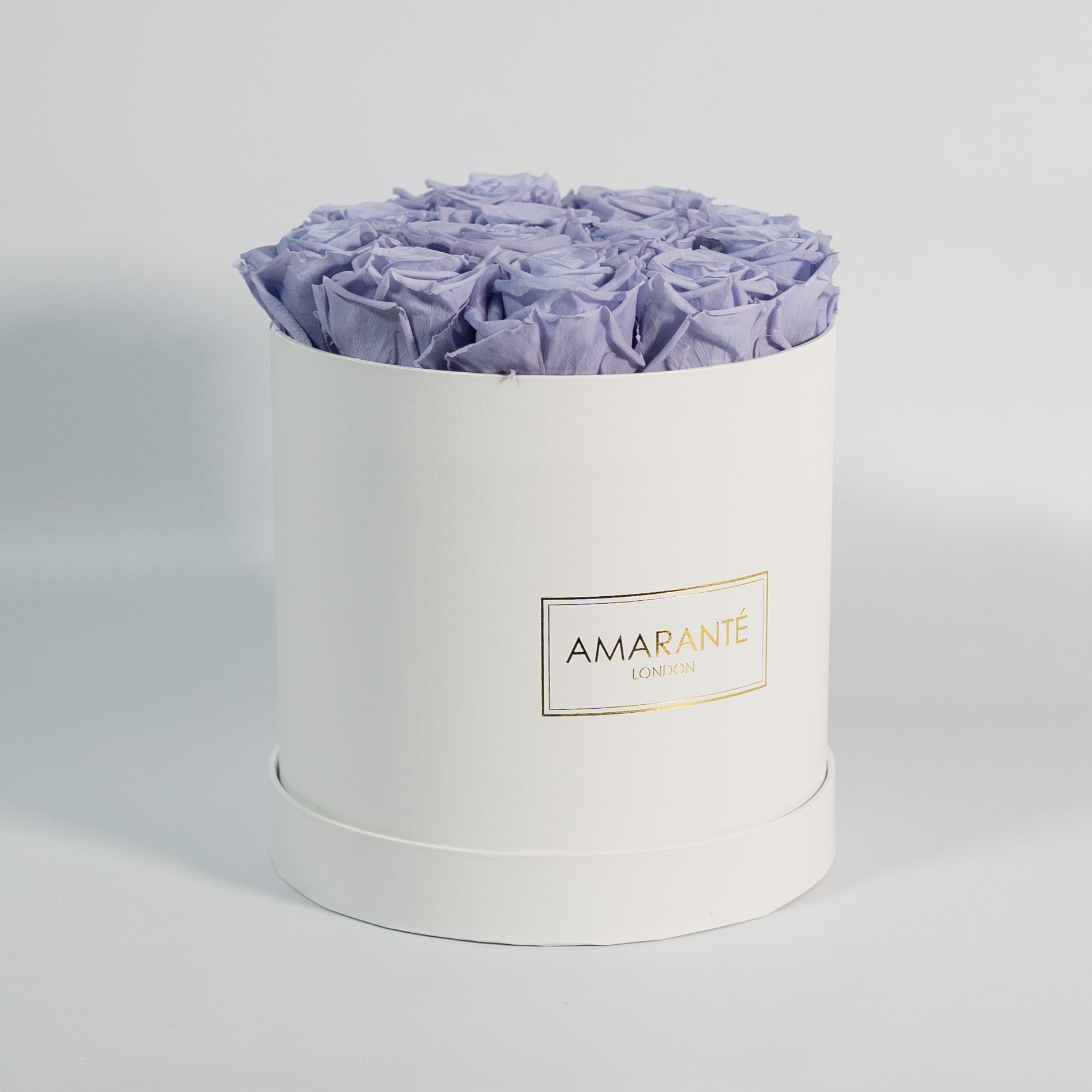 Artful lavender Roses beaming with calm and tranquilising colours.
