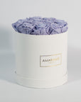 Artful lavender Roses beaming with calm and tranquilising colours.