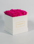Distinctive hot pink roses photographed in a gorgeous white box