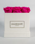 Expressive hot pink roses beaming with charming and beautiful pink shades