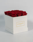 Divine wine red rose in a fashionable white box es shown in a