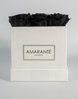 Abloom black roses denoting mystery, elegance, and luxury