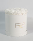 Captivating white roses featured in a monochromatic white box