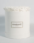 Dreamy white roses, the perfect choice for any wedding