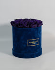 Luxurious dark purple Roses showcased in a dapper blue box