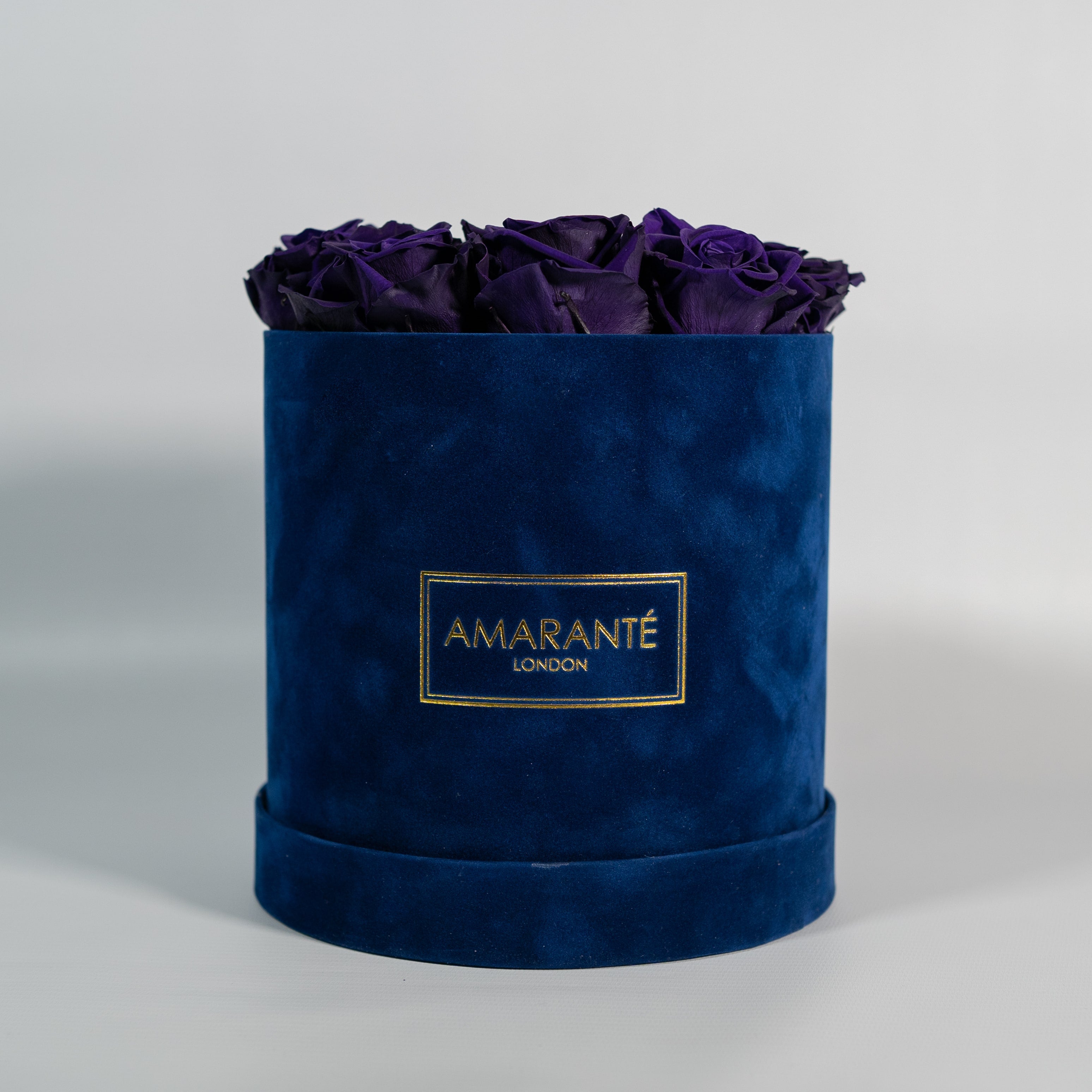 Stylish dark purple Roses bursting with creative and magical colours.