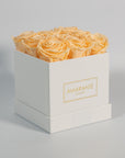 Tranquilising peach roses displayed in a white medium box