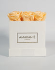 Amazing peach roses with alluring and delightful colours