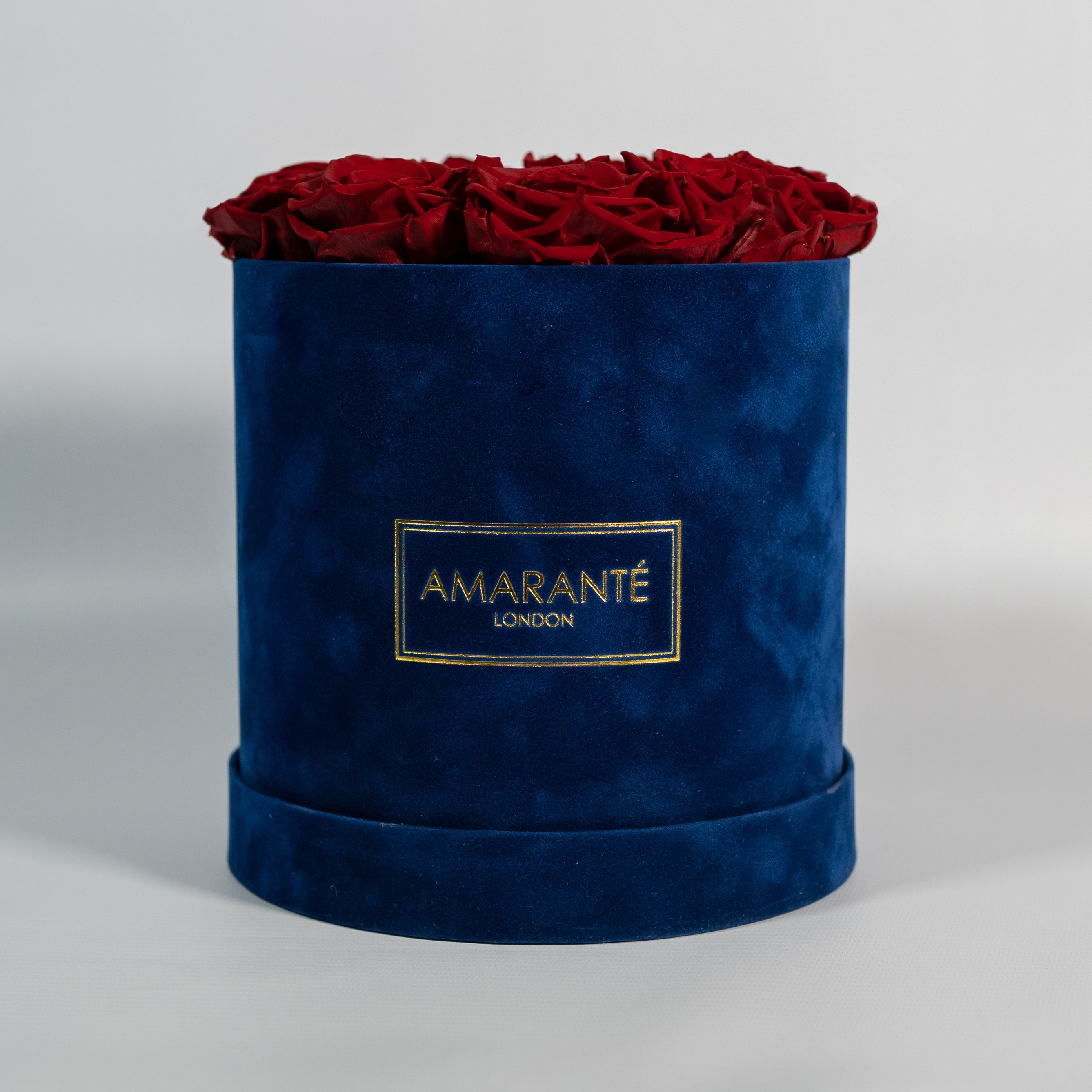 Captivating wine red Roses implying romance and love