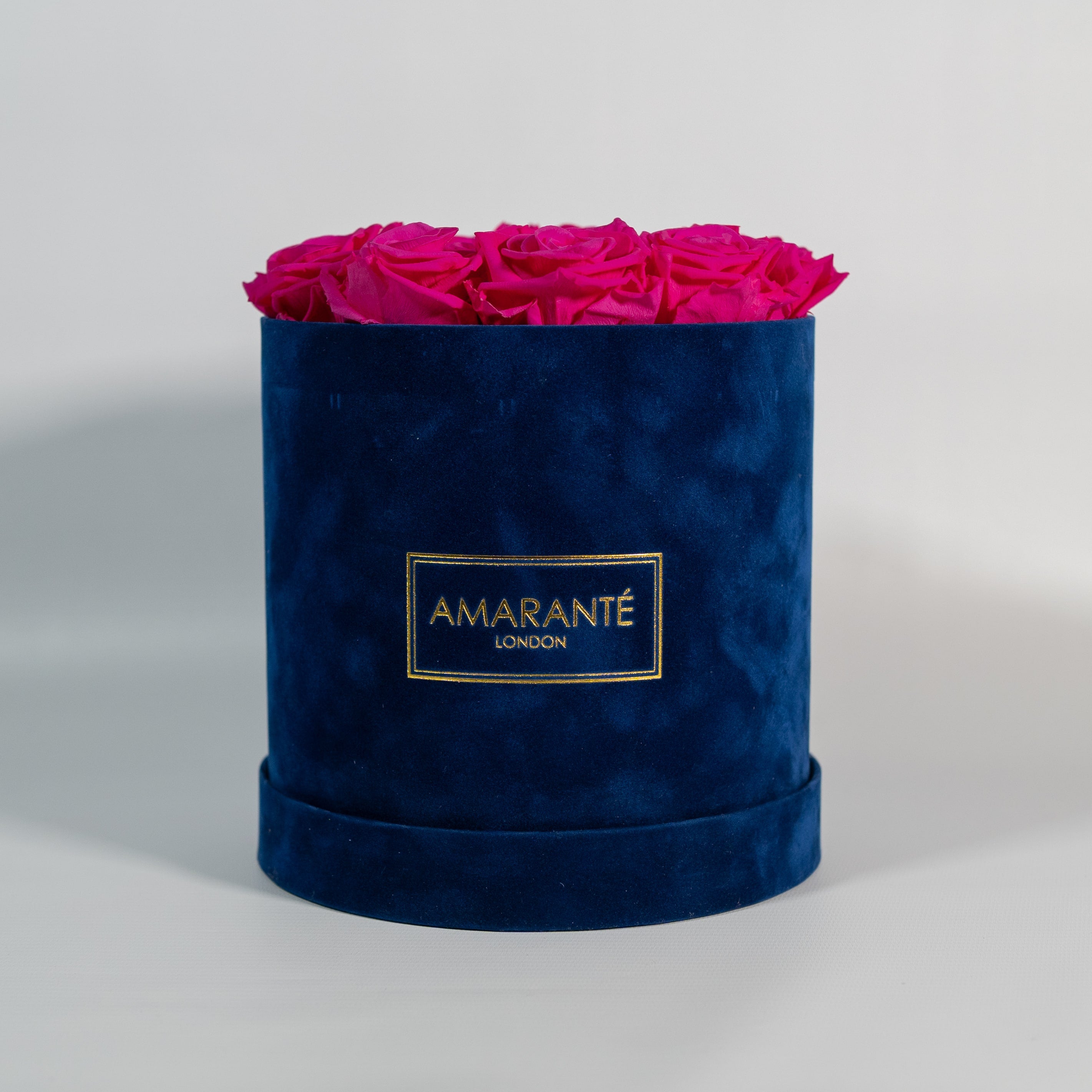 Distinctive hot pink Roses expressing beauty and love