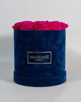 Distinctive hot pink Roses expressing beauty and love
