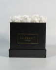 Stylish white roses expressing balance, clarity, and peace