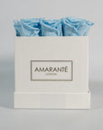 Stunning light blue roses encompassed in a trendy white box