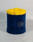 Delightful Roses in yellow photographed in a beautiful blue box