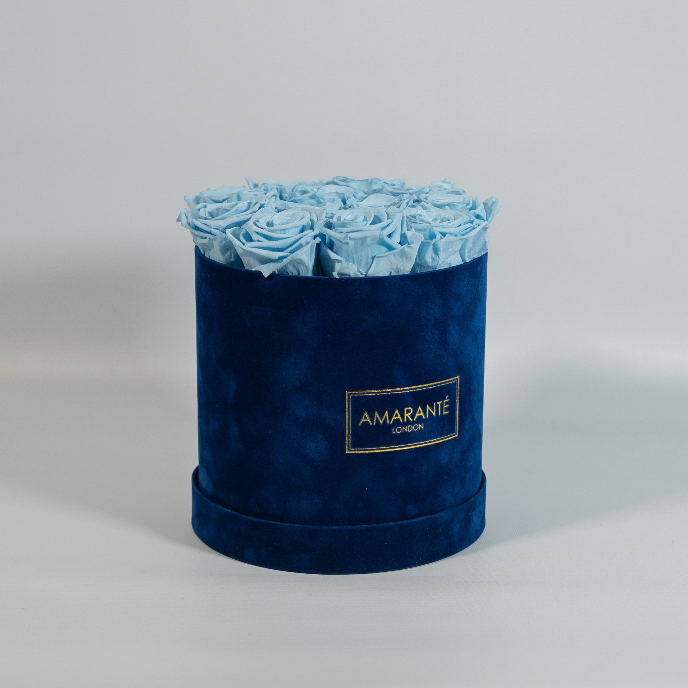 Cool light blue Roses featured in a luxurious blue Rose