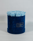 Cool light blue Roses featured in a luxurious blue Rose