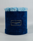 Elegant light blue Roses connoting protection, health and healing.