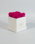 Distinctive hot pink roses expressing beauty and compassion