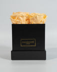 Aromatic peach roses implying warmth and joy