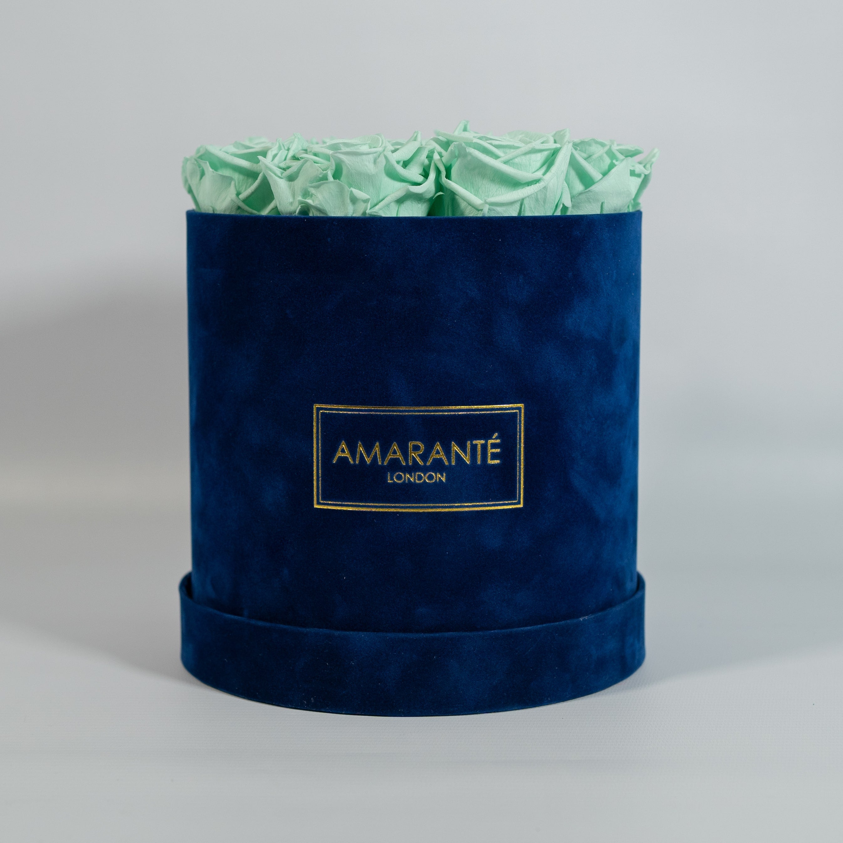 Stylish mint green Roses implying nature, earth, and peace.