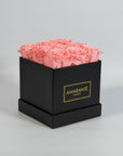 Blushing light pink roses suggest beauty, love, and empathy