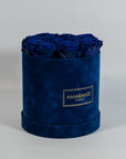 Luxurious royal blue Roses in a monochromatic blue box