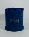 Heart-warming royal blue Roses, the perfect gift for an older sibling.