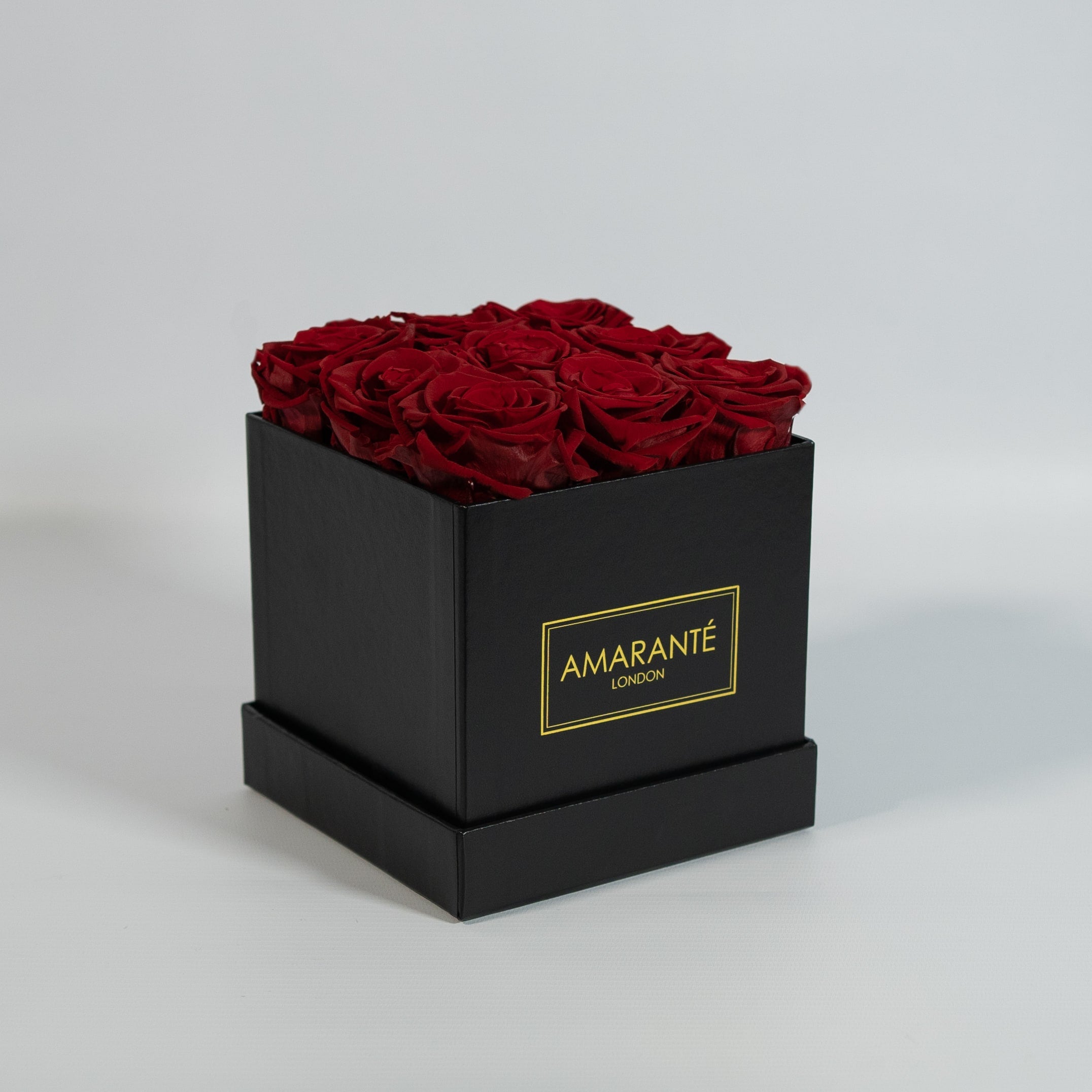 Divine wine red roses photographed in a sleek black box