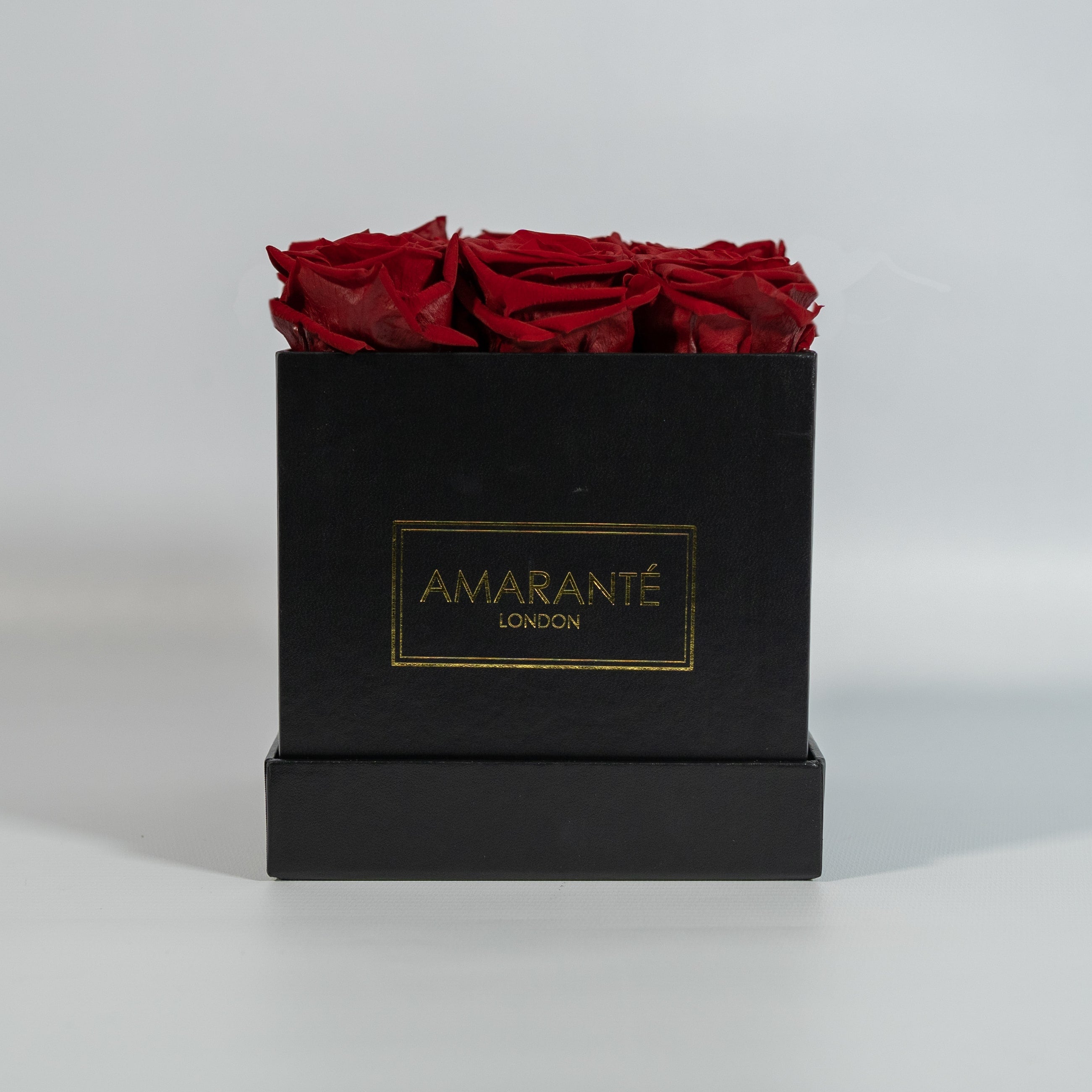 Botanical wine red roses, ideal for strong expression of love and romance