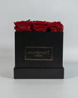 Botanical wine red roses, ideal for strong expression of love and romance
