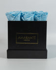 Cool light blue roses entrenched in a modern black box