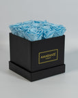 Stunning light blue roses implying healing and protection