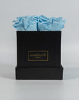 Cool light blue roses photographed in a sophisticated black box