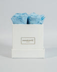 Blooming light blue roses implying peace and health.