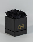 Bold black roses expressing luxury and elegance