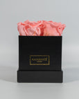 Artistic light pink roses connoting beauty and compassion