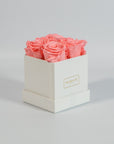 Blushing light pink roses implying beauty and sympathy