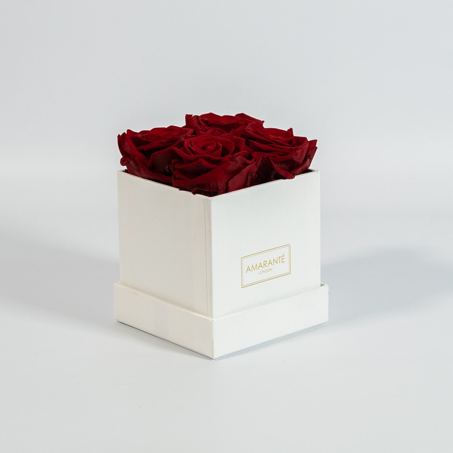 Enchanting wine red roses placed in a stylish white box 
