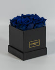 Magical royal blue roses expressing protection and trust