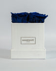 Magnificnet royal blue roses suggesting royalty and trust.