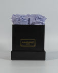 Artful lavender roses exhibited in a sleek black box