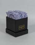 Dreamy lavender roses implying spring time and calmness