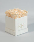 Chic champagne roses featured in a majestic white box