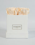 Stylish champagne roses denoting modesty and class
