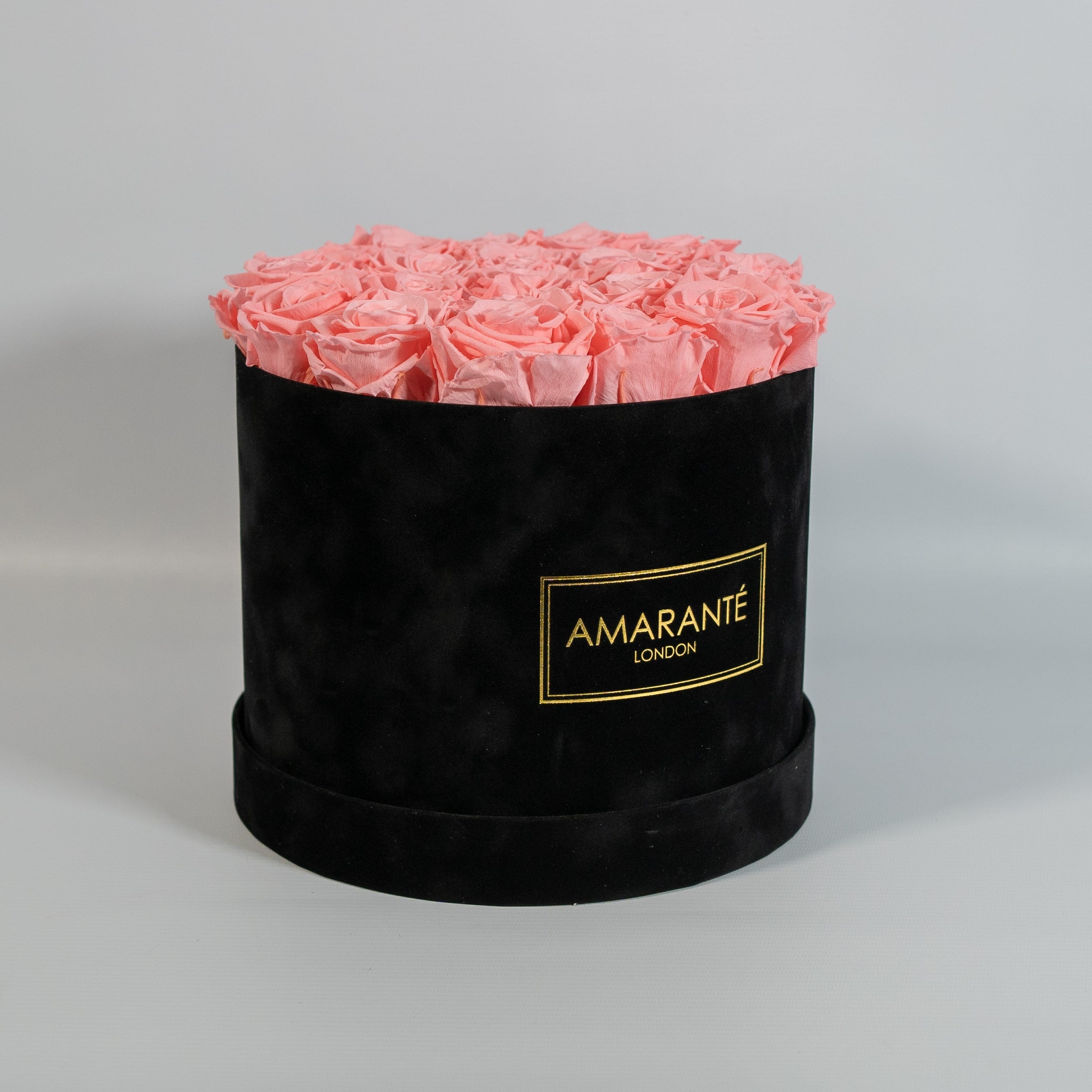 Tender light pink Roses imbedded in a bold black box 