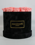 Blushing light pink Roses denoting beauty, love, and care.