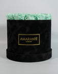 Majestic mint green Roses encompassed in a dreamy black box